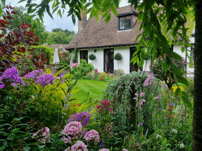 Pine Tree Cottage